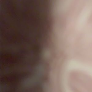 Meet your Posher, Royalty